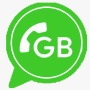 icon GB Version Status Downloader(Versione GB 2021-GB What S Versione 25.0-GB
)