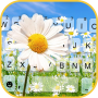 icon Daisy Summer Garden(Daisy Summer Garden Keyboard Background
)