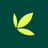 icon Bamboo(Bamboo: Invest. Commercio. Guadagnare.
) 4.0.4