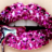 icon Makeup Gamekeup Game(Lipstick Gioco di trucco
) 2.24.2