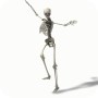 icon Dancing Skeleton Video LWP(Scheletro danzante Temi video)