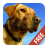 icon Dog Sounds and Pictures(Suonerie Dog Sounds) 1.01