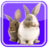 icon Belajar Binatang(Impara a leggere gli animali) 2.6