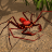 icon Life of Phrynus(Life of Phrynus - Whip Spider) 1.1