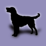 icon Dog(Razze di cani)