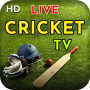 icon Live Cricket TV(Live Cricket TV: Live Cricket Score 2021
)