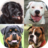 icon Dogs Quiz(Cani Quiz - Indovina le razze di cani popolari nelle foto
) 3.3.0