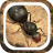 icon The Ants Underground Kingdom Beginner Guide(The Ants Underground Kingdom Guida per principianti Guida
) 1.0.0