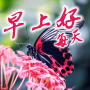 icon com.emma.chinese.GoodMorning.WishesMessage_Quotes(Buongiorno Saluti quotidiani in cinese
)