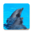 icon Dolphin sound to relax(Delfini - Suono per rilassarsi) 1.8