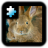 icon Rabbit(Jigsaw Puzzle: coniglio) 2.0