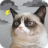 icon Grumpy Weather(Tempo di gatto scontroso) 5.9.5