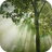 icon Forest Wallpapers(Sfondi foresta) 1.0
