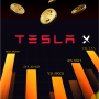icon Tesla X(Tesla X - Investimenti
)