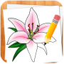 icon Draw Flowers(Come disegnare fiori)