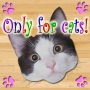 icon Only for Cats (Solo per gatti)
