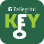 icon Pellegrini Key