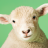 icon Sheep Sounds(Suoni di pecora) 3.0.1