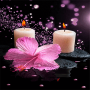 icon Pink Flower Candle LWP(LWP per candele con fiori rosa)