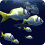 icon Fish Schooling(Fish Schooling VR)