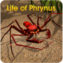 icon Life of Phrynus(Life of Phrynus - Whip Spider)