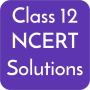icon Class 12 NCERT Solutions (Classe 12 Soluzioni NCERT)