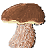 icon Mushroomizer(Mushroomizer
) 2.4.2