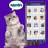 icon Cat Sound Prank Sim Translator(Cat Sound Translator Prank Sim) 0.0.3