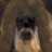 icon Krampus(Krampus: Horror Game Adventure) 1.1