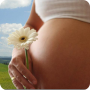 icon ru.fedr.pregnancy(Calendario della gravidanza)