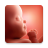 icon Pregnancy(App gravidanza e baby tracker) 3.0