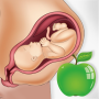 icon Pregnancy Care Diet & Nutrition(Suggerimenti per la gravidanza Dieta Nutrizione)