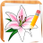 icon Draw Flowers(Come disegnare fiori) 5.2