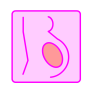 icon Pregnancy Calculator(Calcolatore di gravidanza)