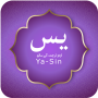 icon Surah Yasin(Surah Yaseen con urdu/arabo)