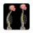 icon Kyphosis(Cifosi e schiena arrotondata da Muscle and Motion
) 1.2.1
