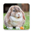 icon Rabbit Sounds(Suoni del coniglio) 1.1.44