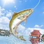 icon Fish Master(Fishing Master: Let's Fish
)