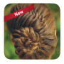 icon Easy braid hairstyles(Facile treccia acconciature)