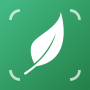 icon Lily - Plant Identification (Lily - Identificazione della pianta
)