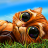 icon com.playflock.indianacat(Indy Cat per VK) 1.99