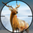 icon Real Deer Hunting: Zoo Hunter(Wild Dino Hunter: Gioco di caccia) 5.6
