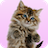 icon Dancing, Purring Cat(Gatto parlante Balla e fa le fusa) 1.8.0