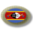 icon SwazilandApps and news(App dello Swaziland) 2.8.2