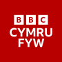 icon BBC Cymru Fyw(BBC Wales Live)