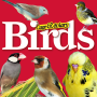 icon Cage & Aviary Birds(Uccelli di gabbia e voliera)