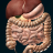 icon Organs 3D Anatomy(Organi interni in anatomia 3D) 2.9.3