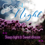 icon Good Night(Buona notte)