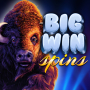 icon Big Wins Spins(Grandi vincite Giri
)