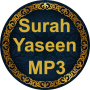 icon Surah Yaseen(Surah Yaseen Ascolta e leggi)